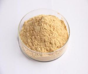 Extrato de frutas de monge orgânico V25%