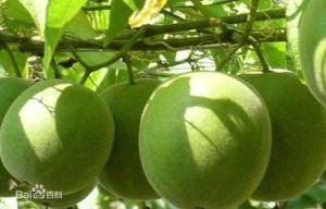 Frutas de monge orgânico